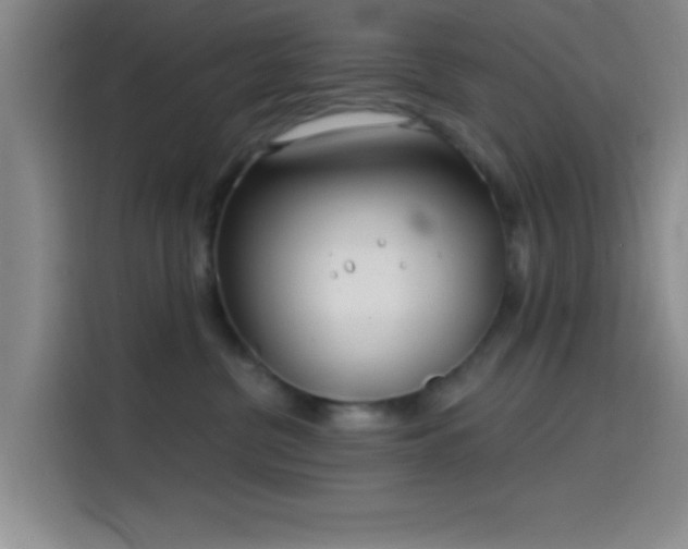 X0000114200380200910161230