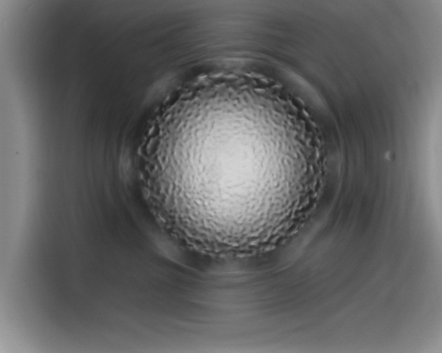 X0000114200381200910161230