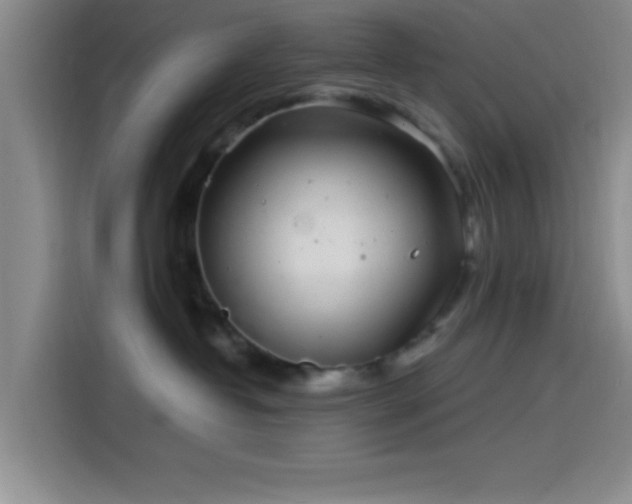 X0000114200382200910161230