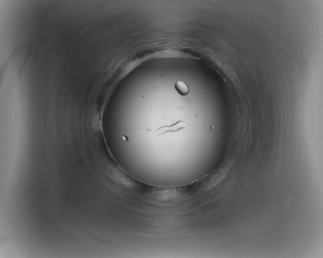 X0000114200384200910161230