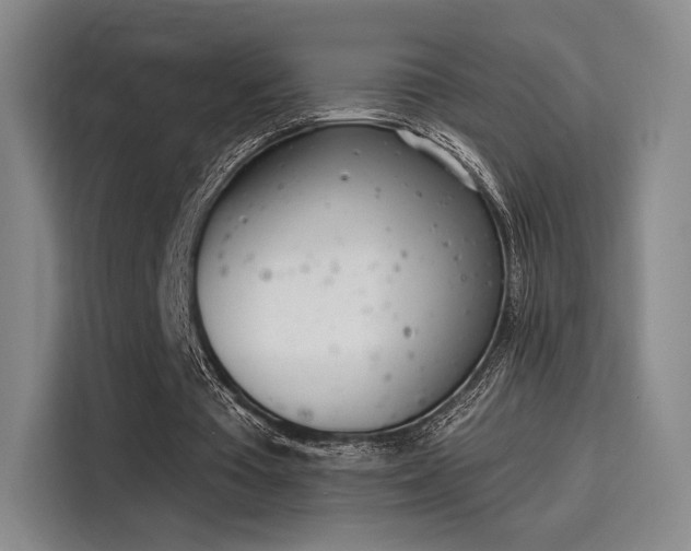 X0000114200385200910161229