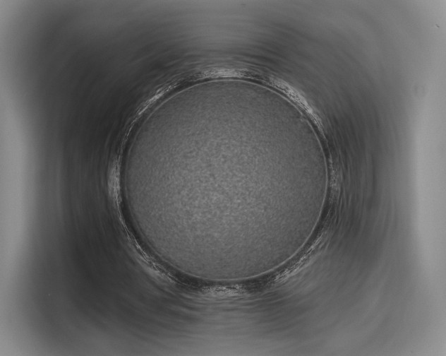 X0000114200386200910161229