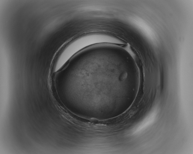 X0000114200387200910161229