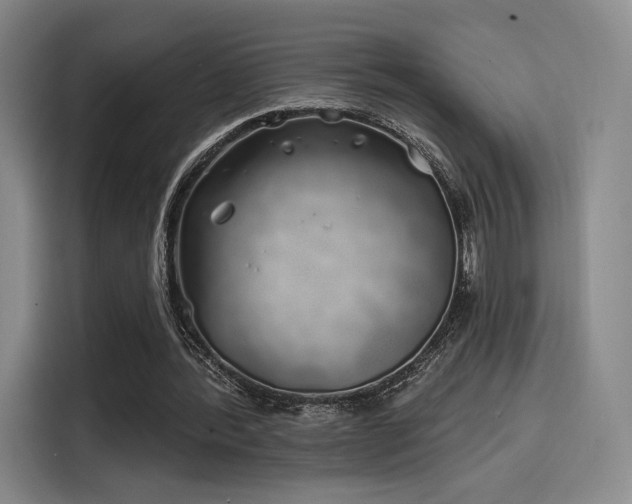 X0000114200388200910161229