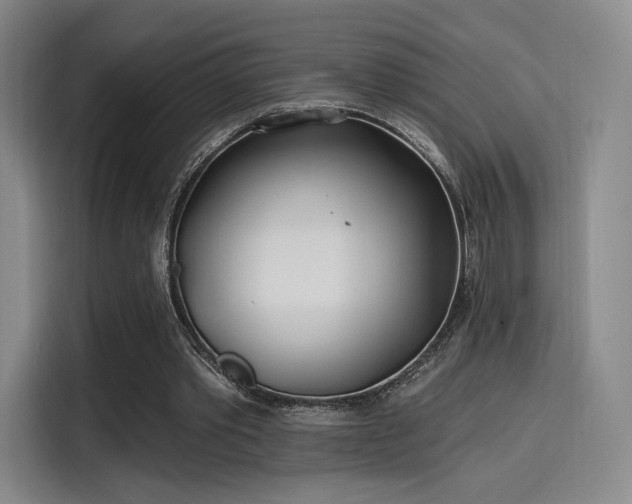 X0000114200389200910161229