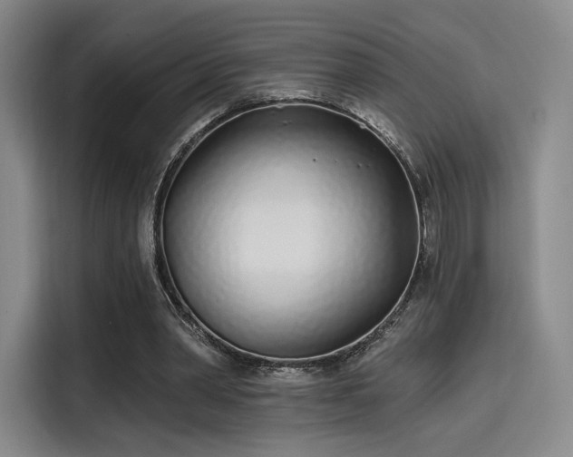 X0000114200390200910161229