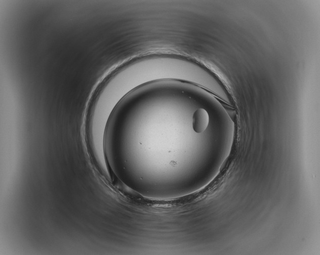 X0000114200391200910161229