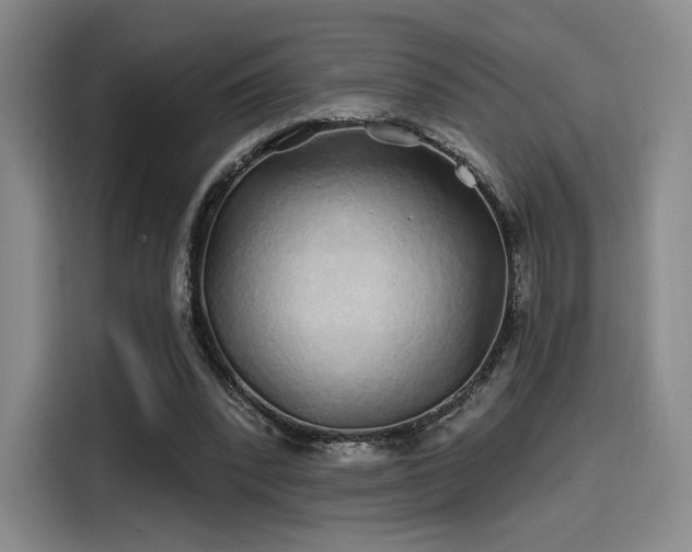 X0000114200392200910161229