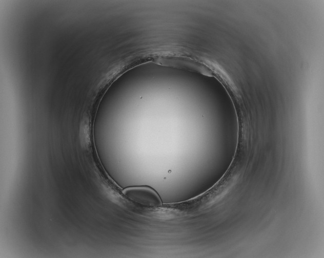 X0000114200393200910161229