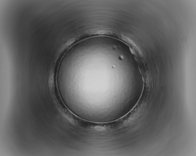 X0000114200394200910161229