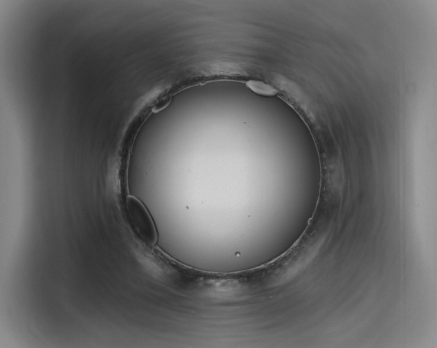 X0000114200395200910161229