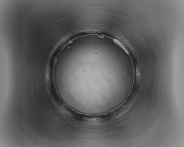 X0000114200396200910161229