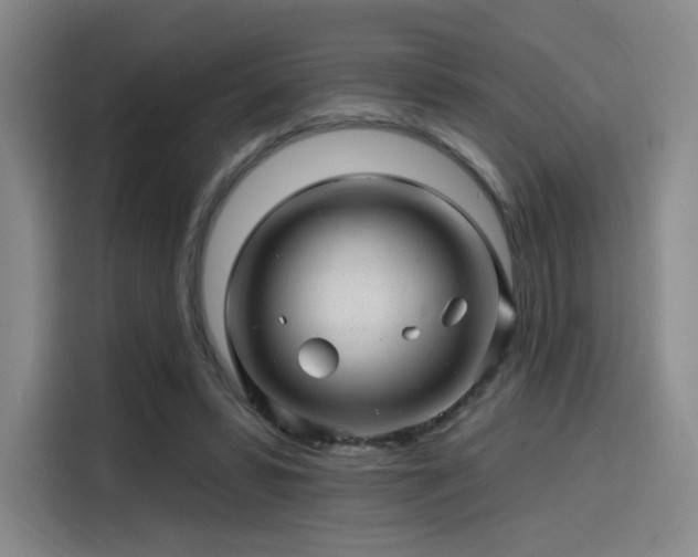 X0000114200399200910161229