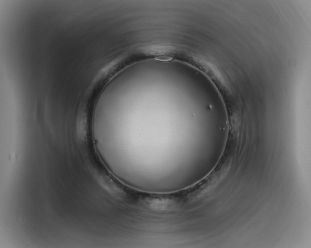 X0000114200400200910161229