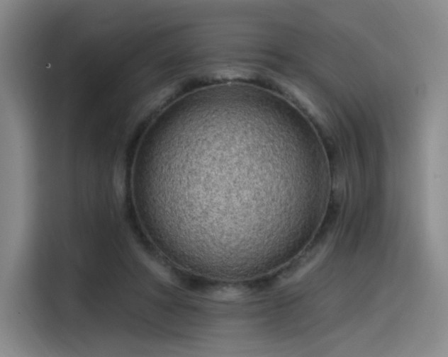 X0000114200402200910161229