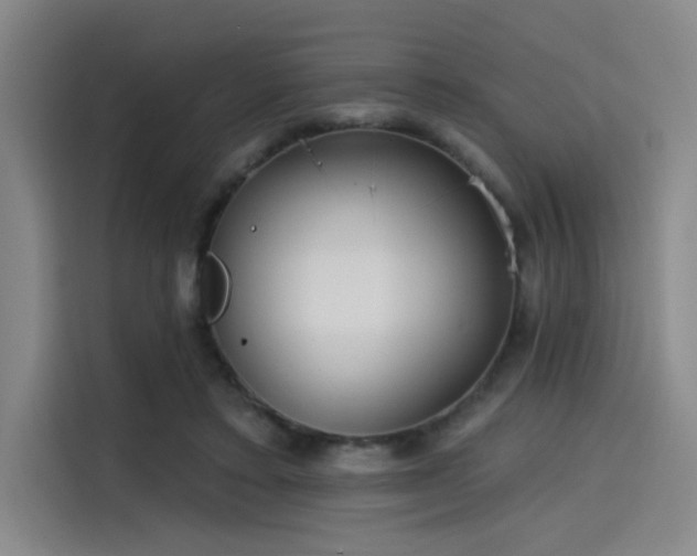 X0000114200403200910161229