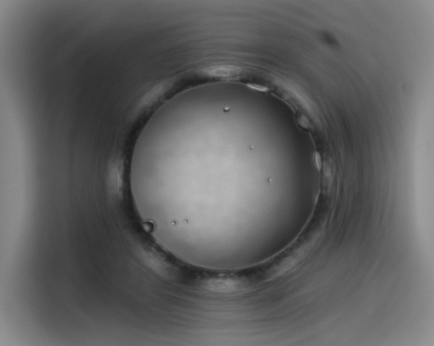 X0000114200404200910161229