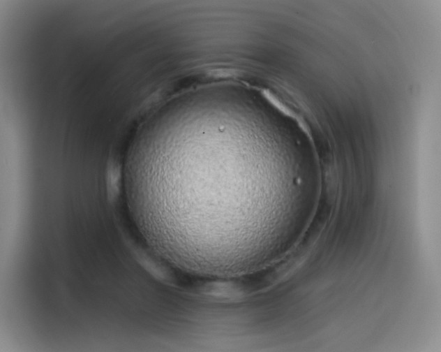 X0000114200406200910161229