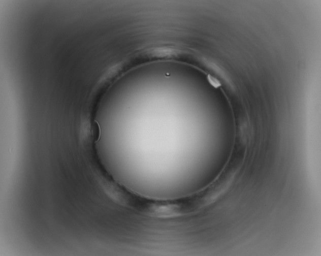 X0000114200407200910161229