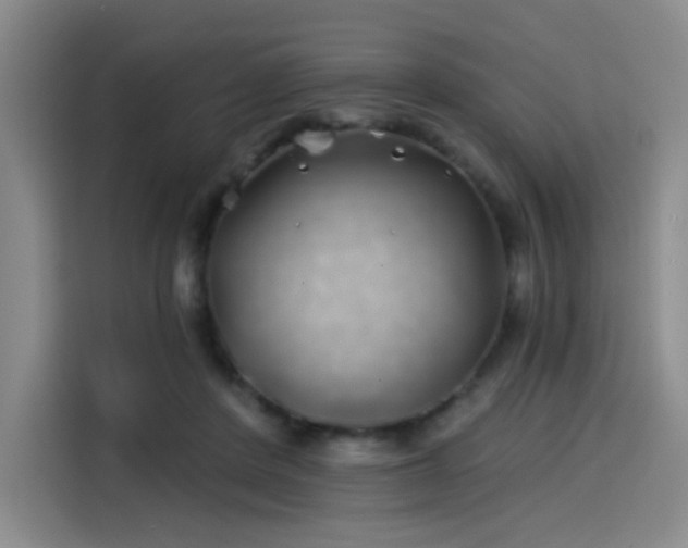 X0000114200408200910161229