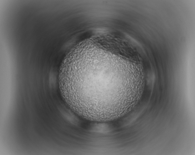 X0000114200409200910161229