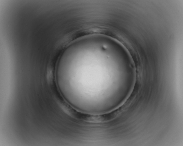 X0000114200410200910161229