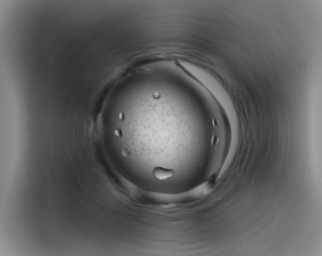 X0000114200411200910161229