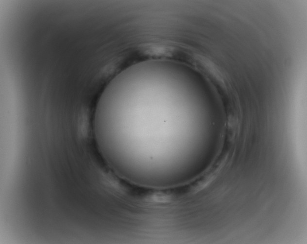 X0000114200416200910161229