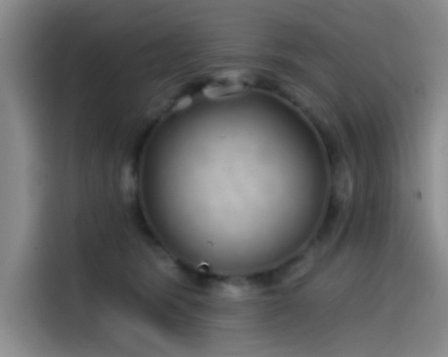 X0000114200420200910161229