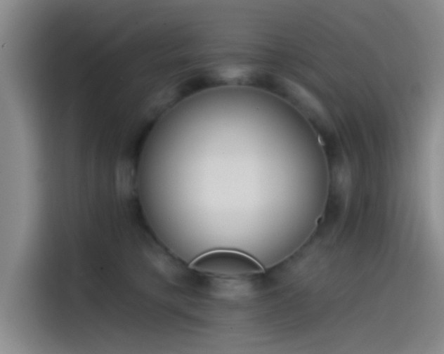 X0000114200421200910161228