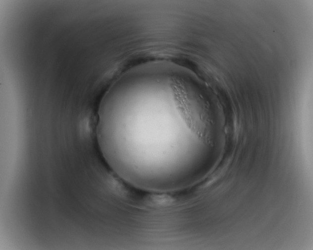 X0000114200424200910161228