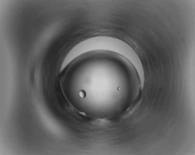 X0000114200429200910161228