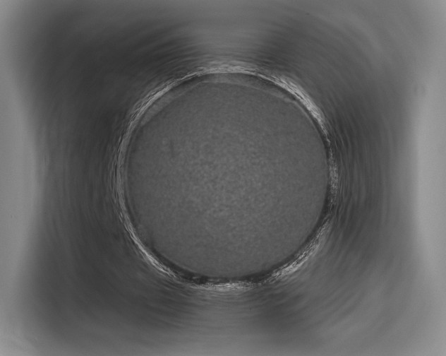 X0000114200433200910161228