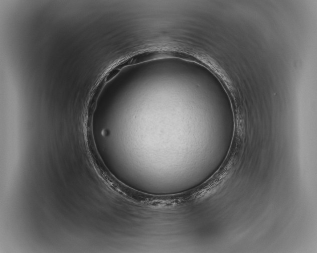 X0000114200434200910161228