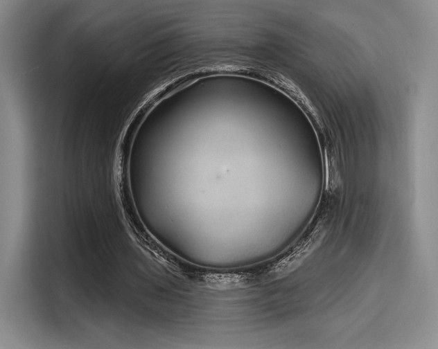 X0000114200435200910161228