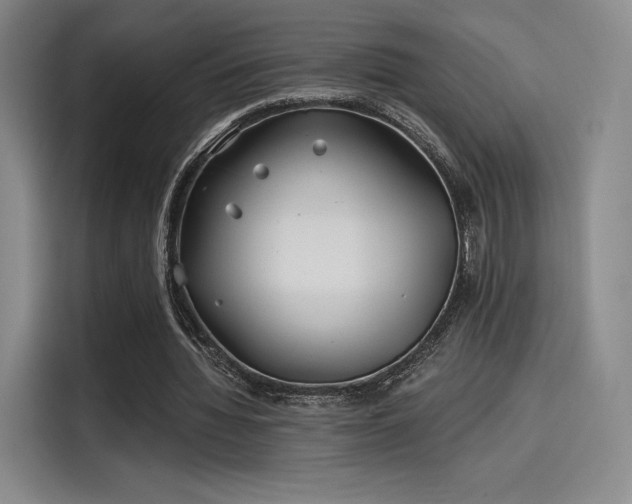 X0000114200436200910161228