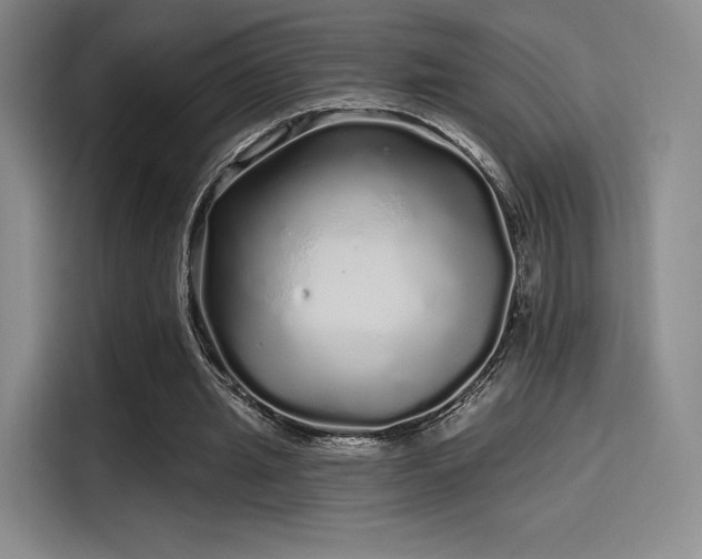 X0000114200437200910161228