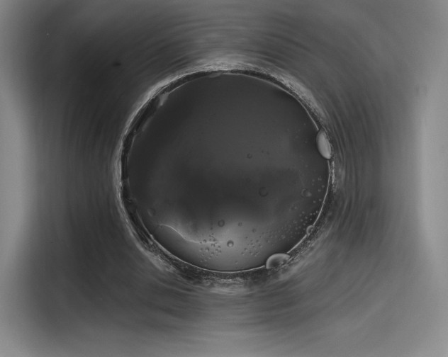 X0000114200438200910161228