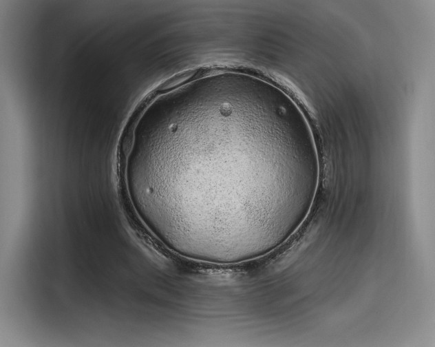 X0000114200439200910161228