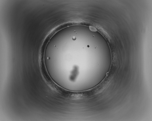 X0000114200440200910161228