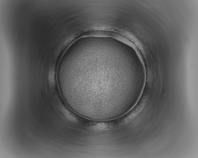 X0000114200441200910161228