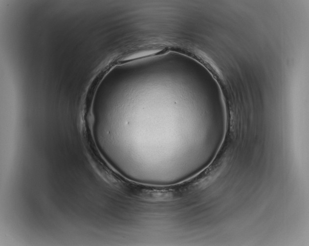 X0000114200443200910161228