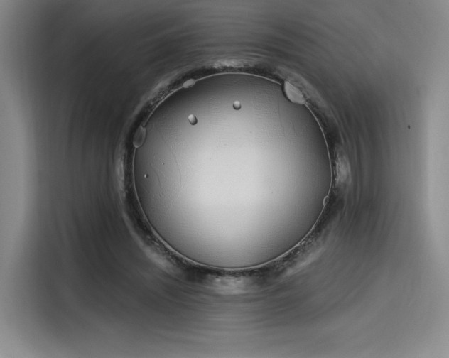 X0000114200444200910161228