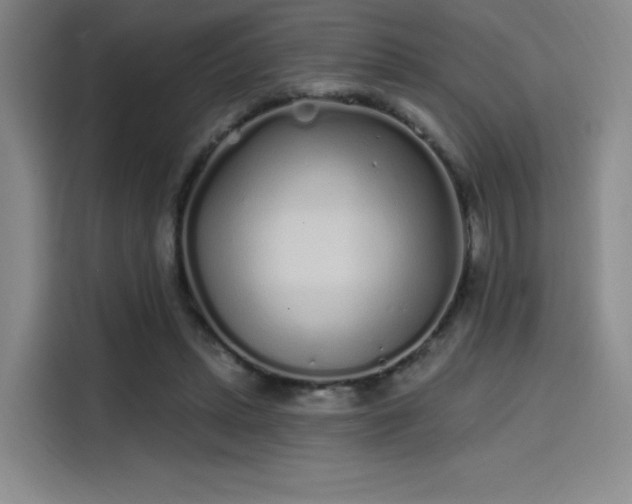 X0000114200447200910161228