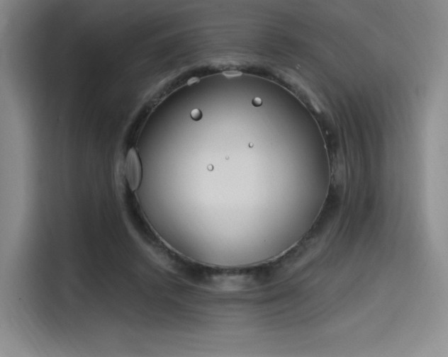 X0000114200448200910161228