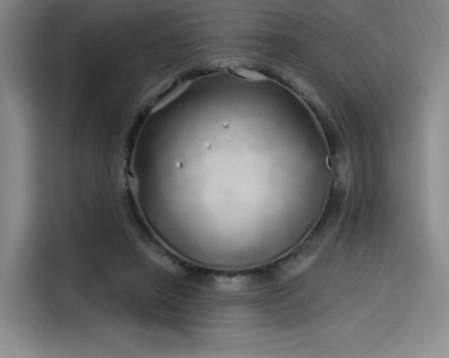 X0000114200450200910161228