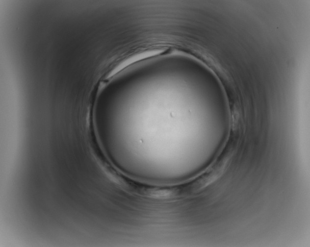 X0000114200454200910161228