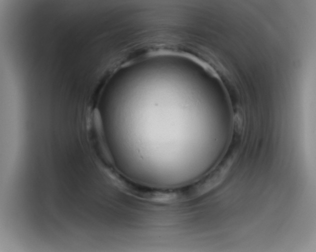 X0000114200458200910161228