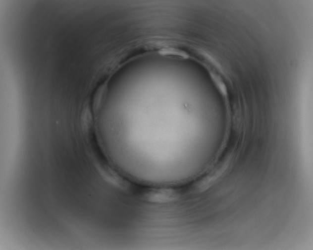 X0000114200459200910161228