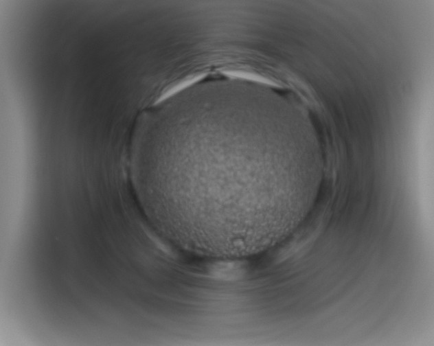 X0000114200465200910161228